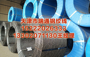 钢绞线供应厂家 日本人狂热追捧上海世博会 预计有百万人来沪——中新网